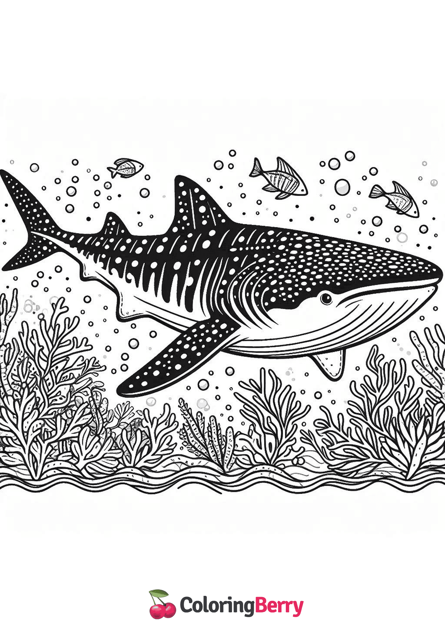 Whale Shark