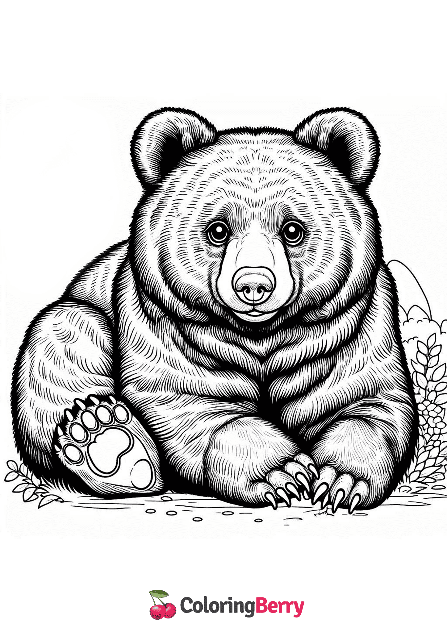 White-chested Bear