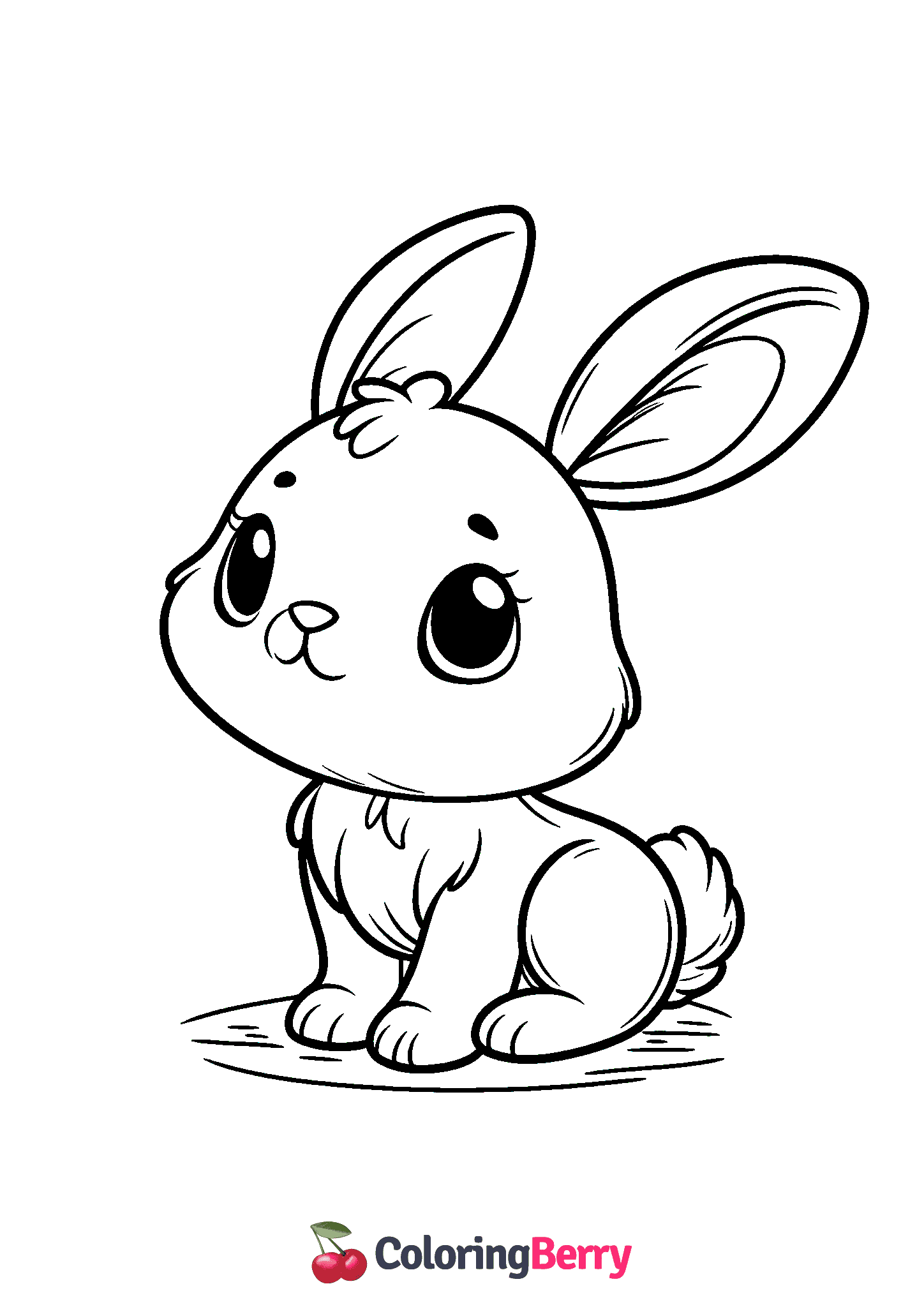 White Rabbit
