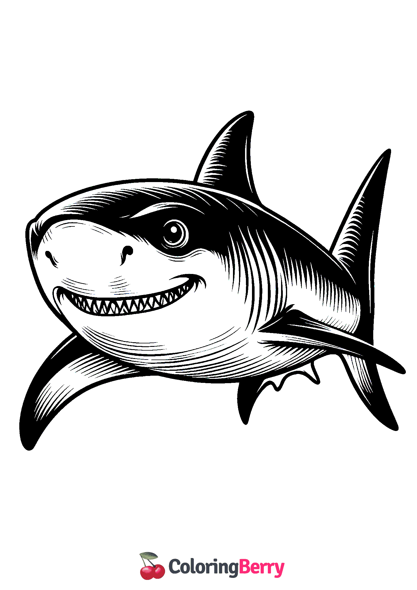 White Shark