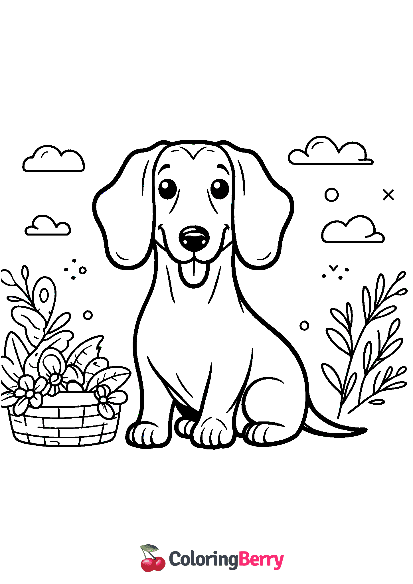 Wiener Dog