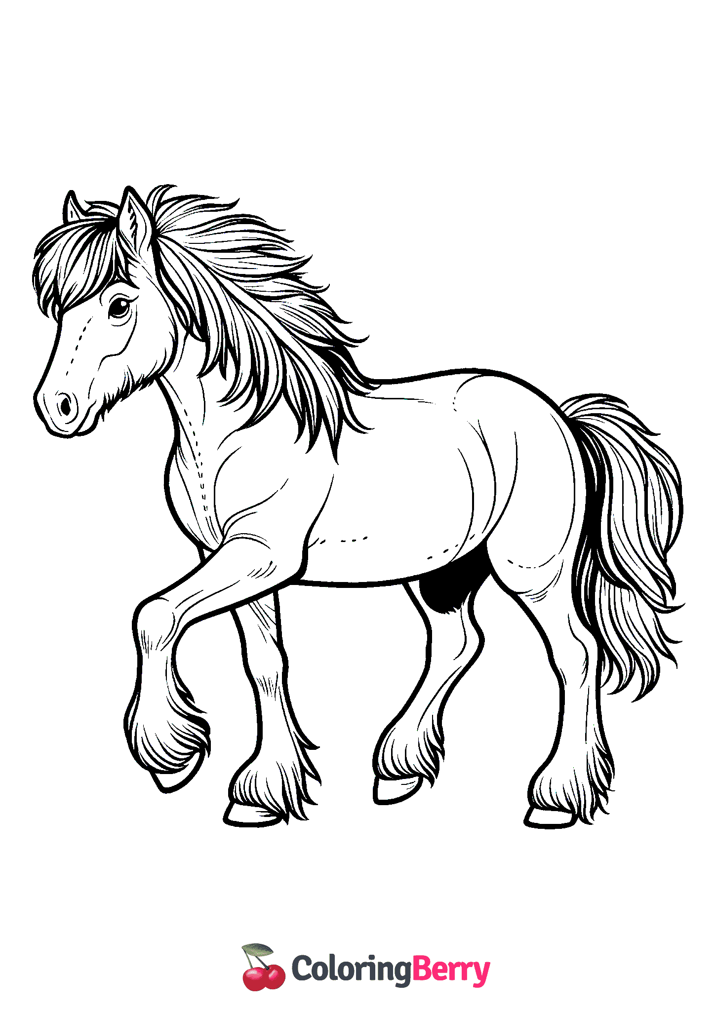 Wild Beautiful Horse