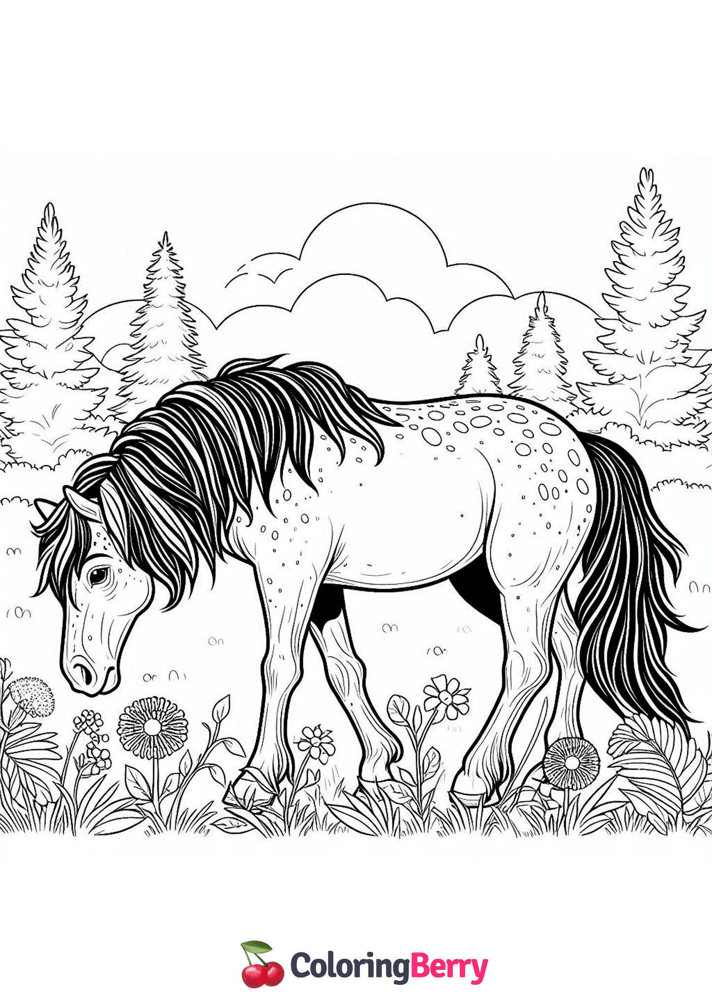 Wild Horse