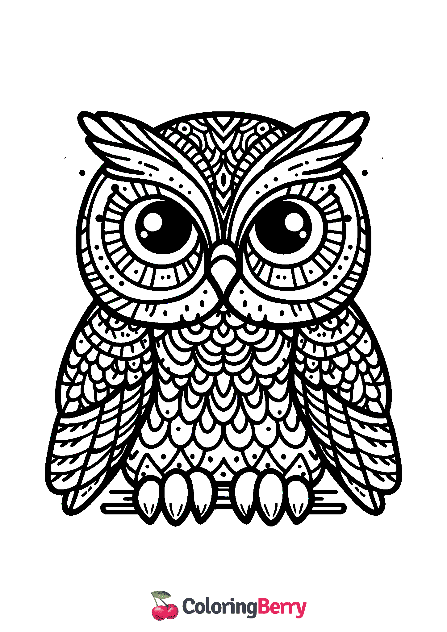 Wise Owl