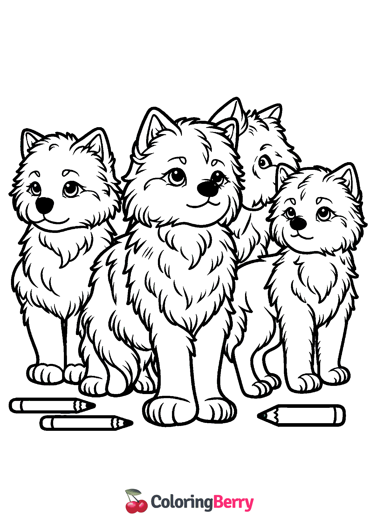 Wolf Pack