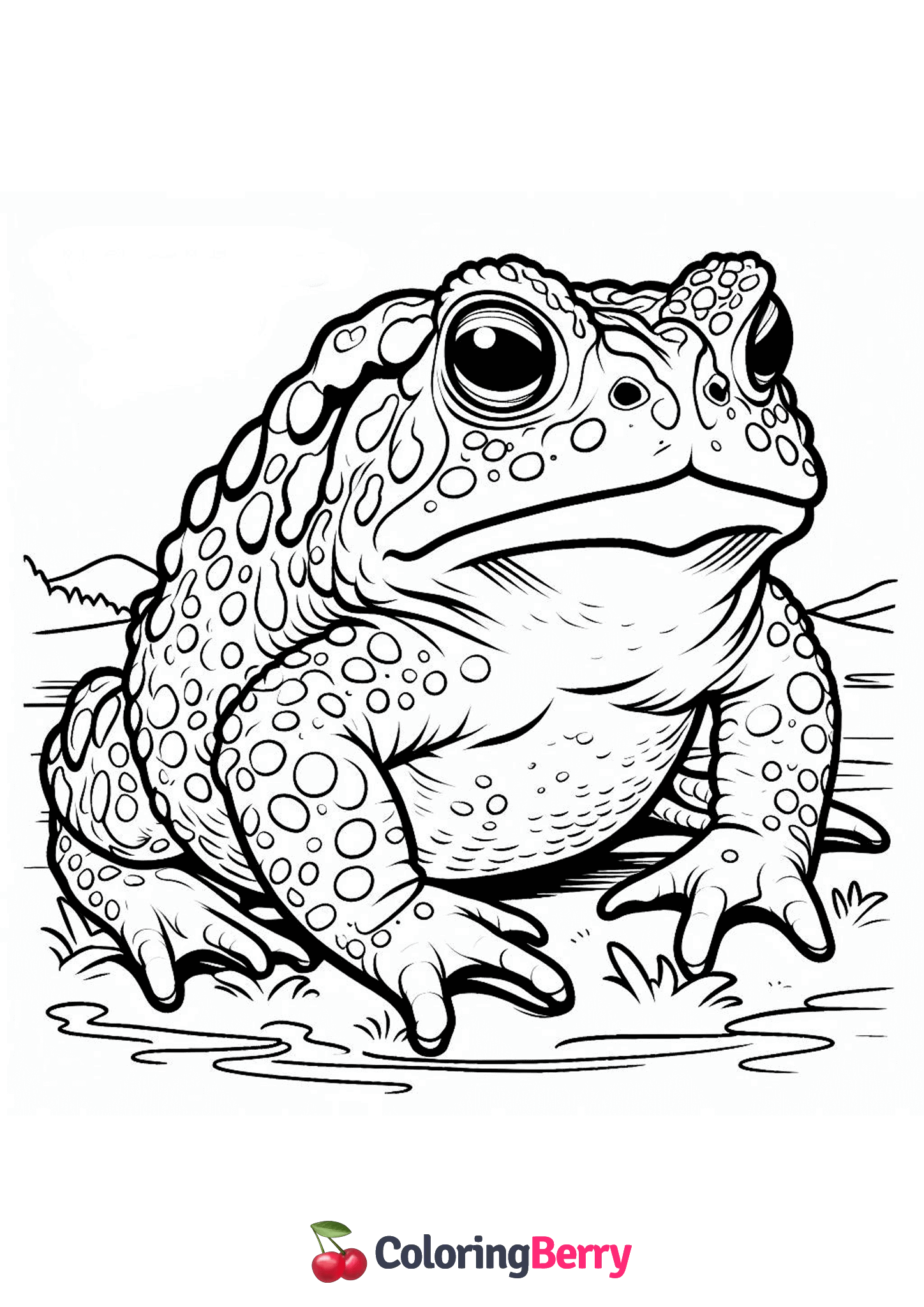 Wyoming Toad