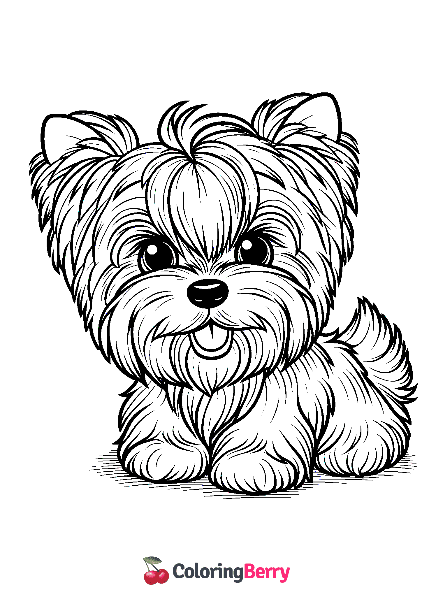 Yorkies